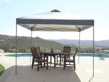 Load image into Gallery viewer, 10 ft. x 10 ft. Grey Instant Canopy Pop Up Tent