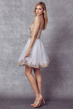 Load image into Gallery viewer, Embroidered V-Neck Dress